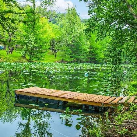 Slowpoke Cabin On Turtle Creek